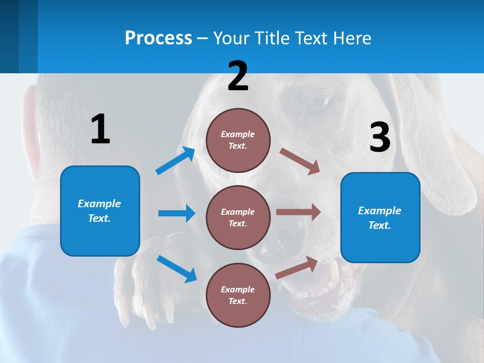 Coastal Ocean Single PowerPoint Template