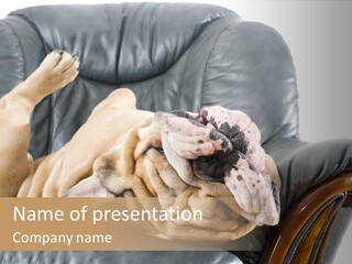 Ocean Pensioner Beach PowerPoint Template