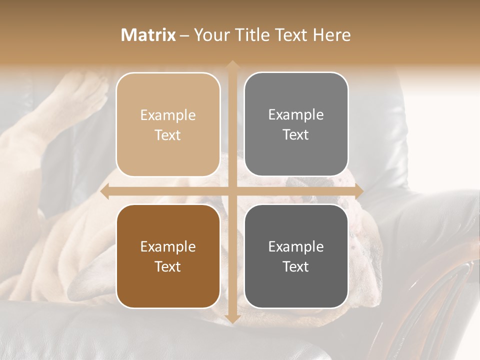 Ocean Pensioner Beach PowerPoint Template