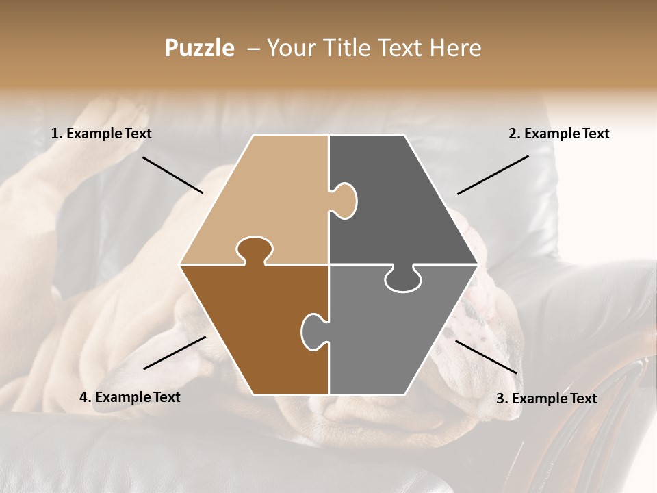 Ocean Pensioner Beach PowerPoint Template