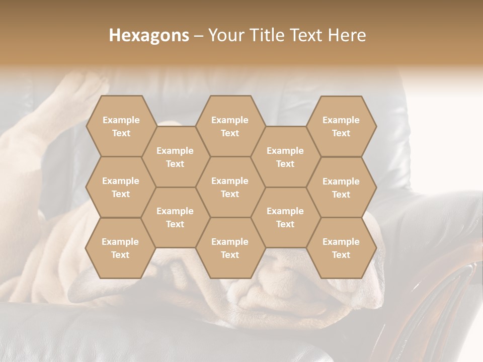 Ocean Pensioner Beach PowerPoint Template