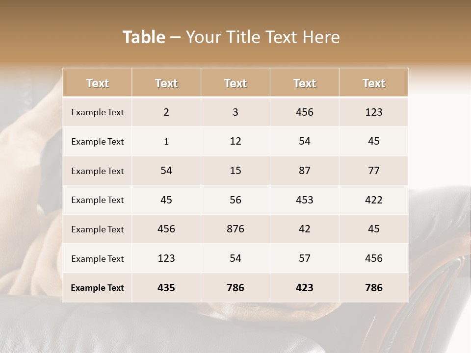 Ocean Pensioner Beach PowerPoint Template