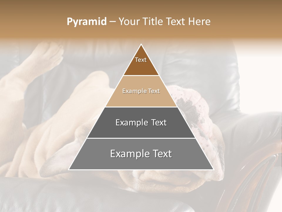 Ocean Pensioner Beach PowerPoint Template