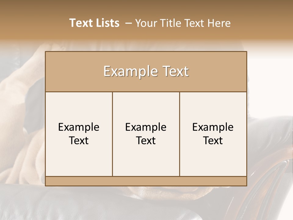 Ocean Pensioner Beach PowerPoint Template