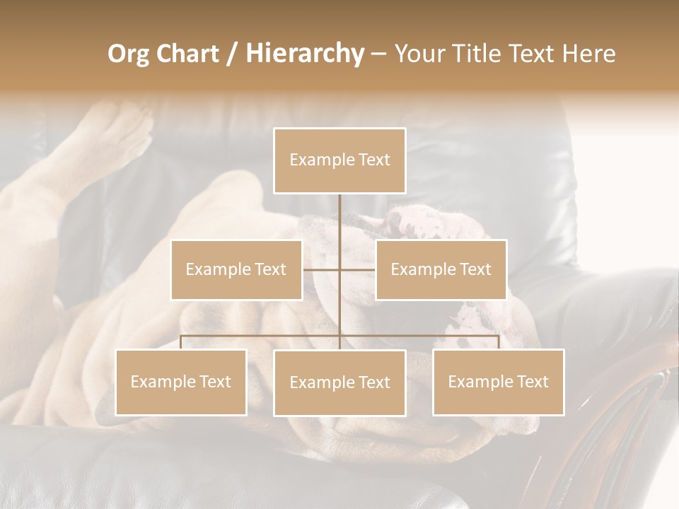 Ocean Pensioner Beach PowerPoint Template