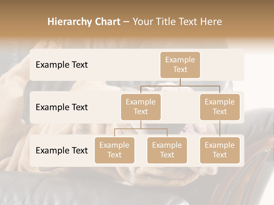 Ocean Pensioner Beach PowerPoint Template