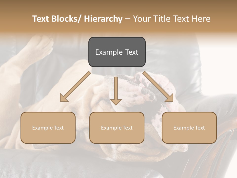 Ocean Pensioner Beach PowerPoint Template