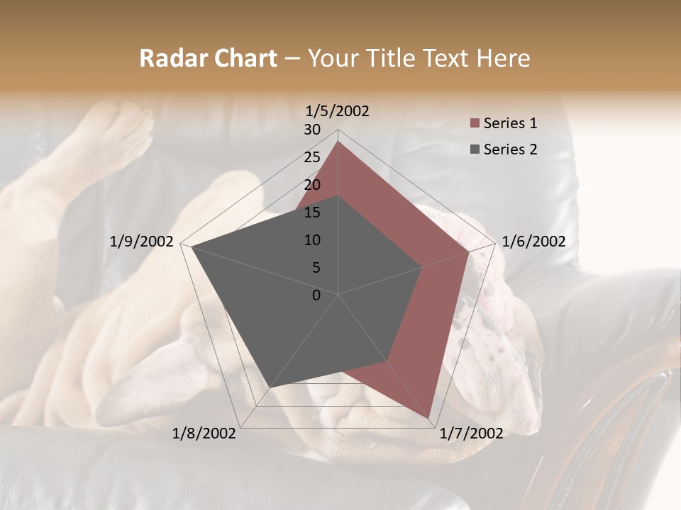 Ocean Pensioner Beach PowerPoint Template