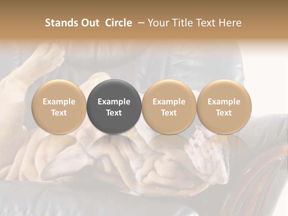 Ocean Pensioner Beach PowerPoint Template