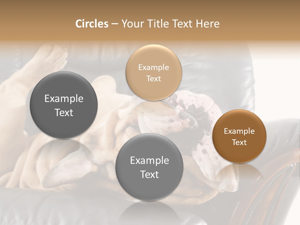 Ocean Pensioner Beach PowerPoint Template