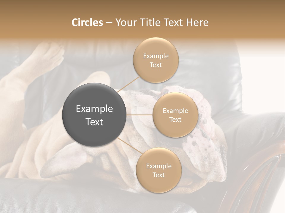 Ocean Pensioner Beach PowerPoint Template