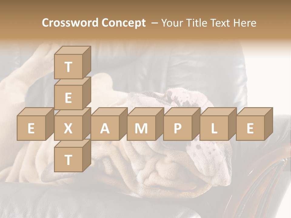 Ocean Pensioner Beach PowerPoint Template