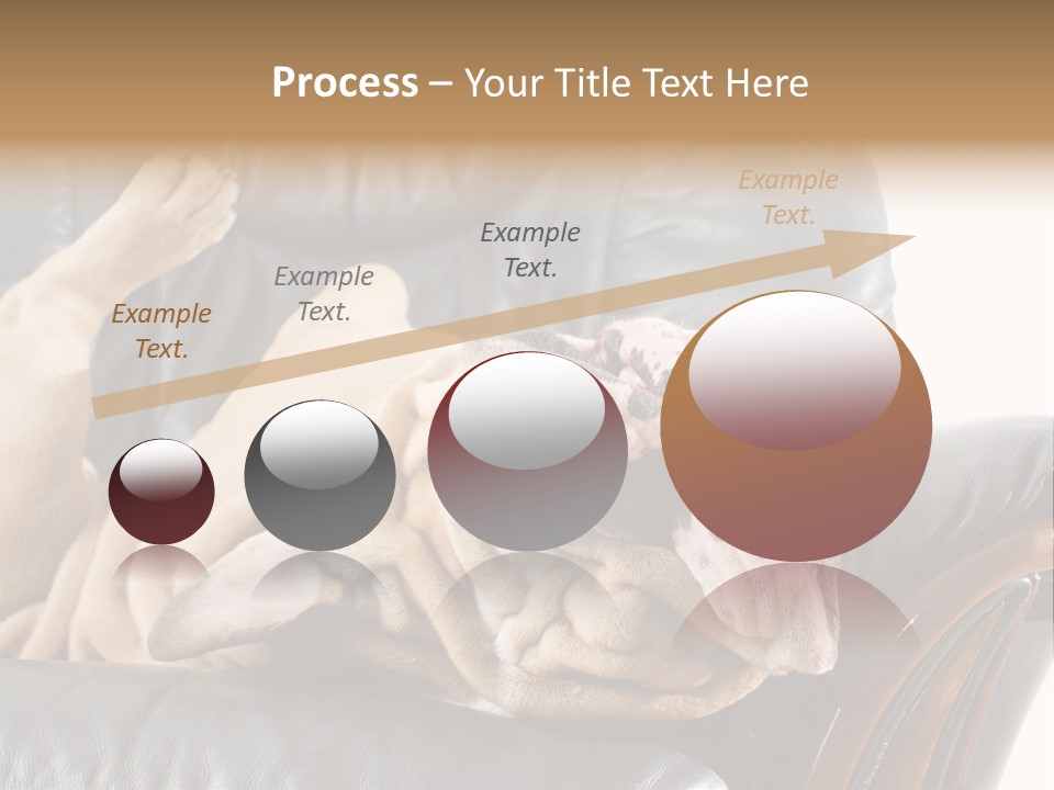 Ocean Pensioner Beach PowerPoint Template