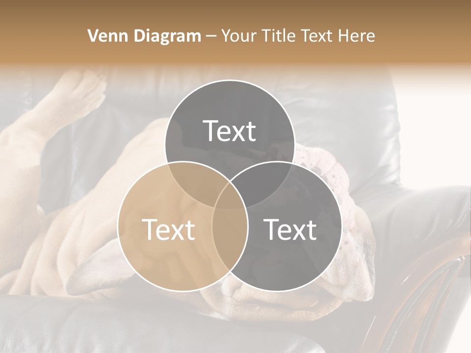 Ocean Pensioner Beach PowerPoint Template