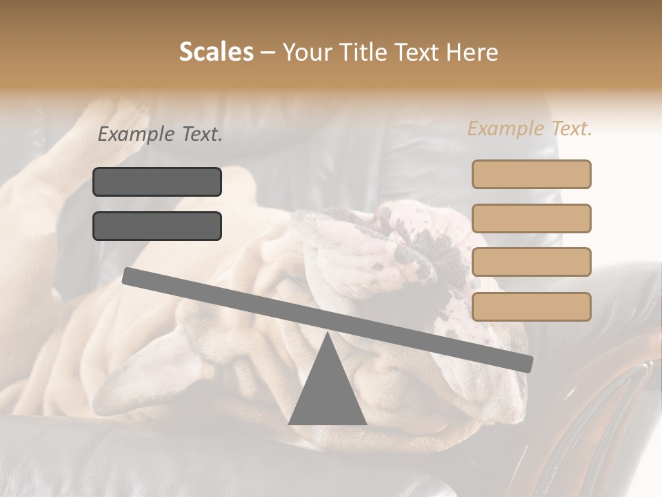 Ocean Pensioner Beach PowerPoint Template