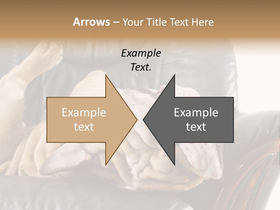 Ocean Pensioner Beach PowerPoint Template