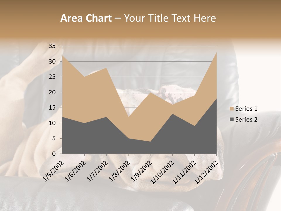 Ocean Pensioner Beach PowerPoint Template
