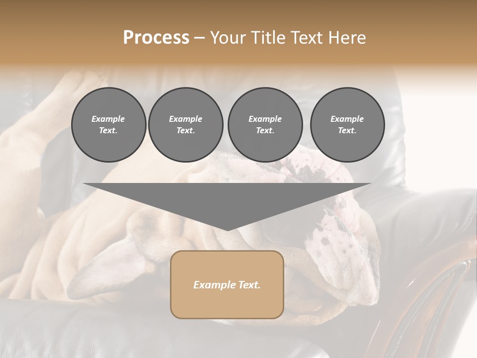 Ocean Pensioner Beach PowerPoint Template