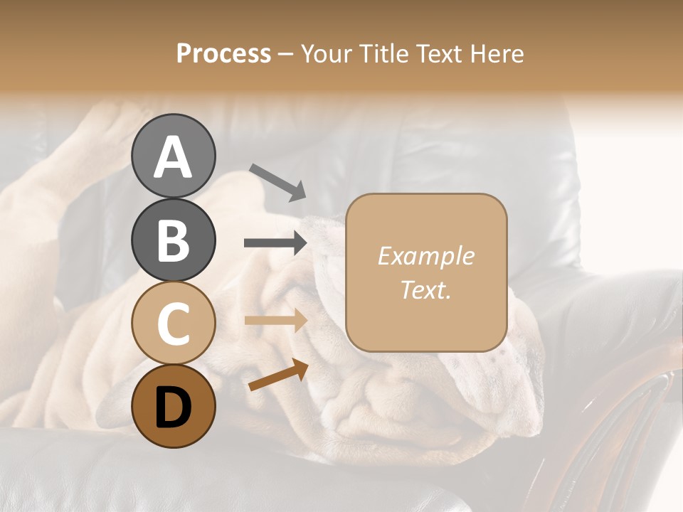 Ocean Pensioner Beach PowerPoint Template