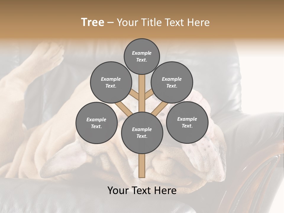 Ocean Pensioner Beach PowerPoint Template