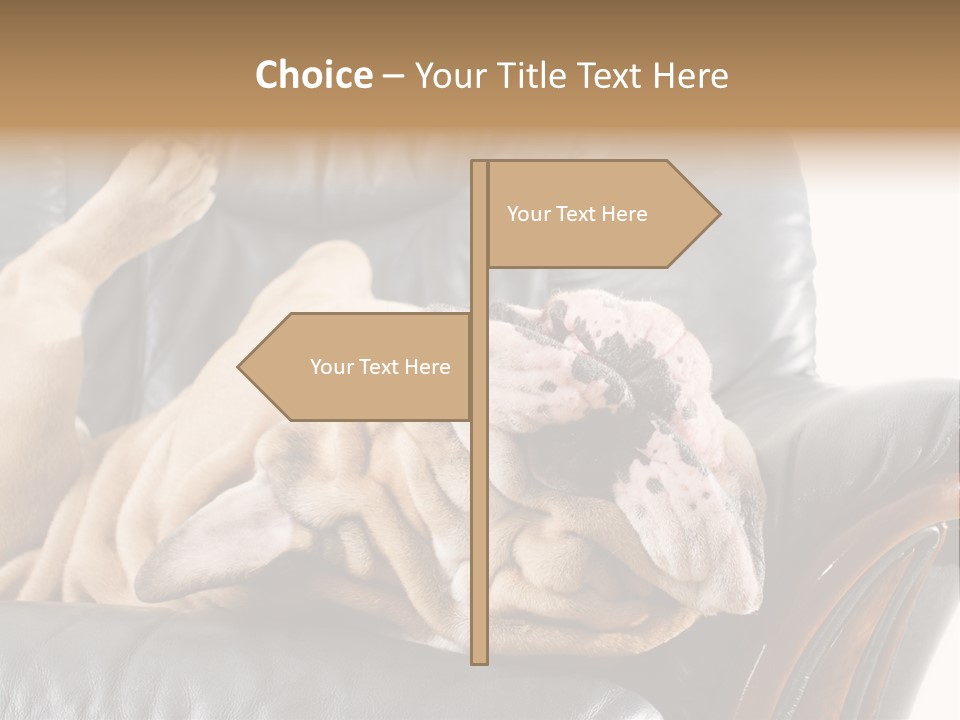 Ocean Pensioner Beach PowerPoint Template