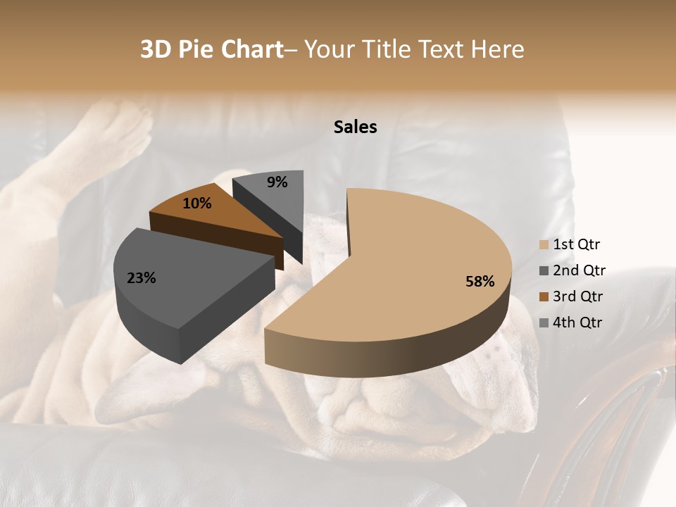 Ocean Pensioner Beach PowerPoint Template