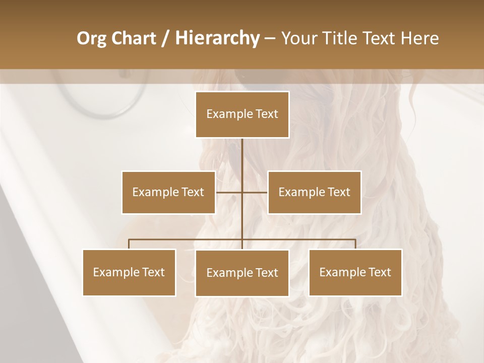 Sunrise Woman White PowerPoint Template