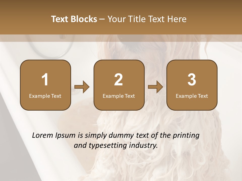 Sunrise Woman White PowerPoint Template