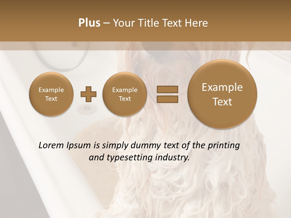 Sunrise Woman White PowerPoint Template