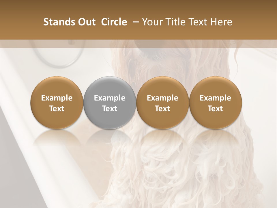Sunrise Woman White PowerPoint Template
