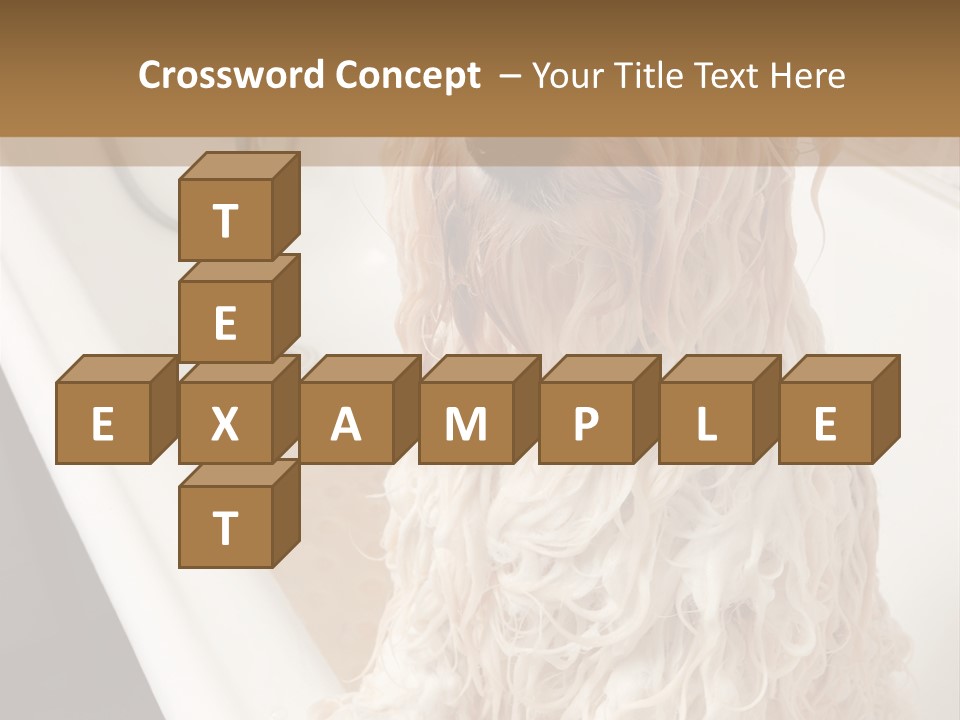 Sunrise Woman White PowerPoint Template