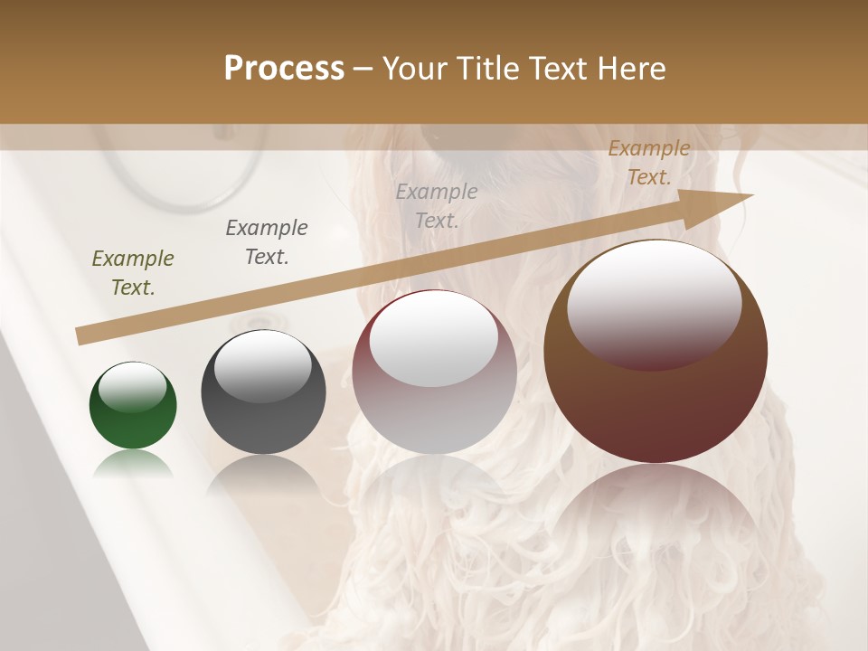 Sunrise Woman White PowerPoint Template