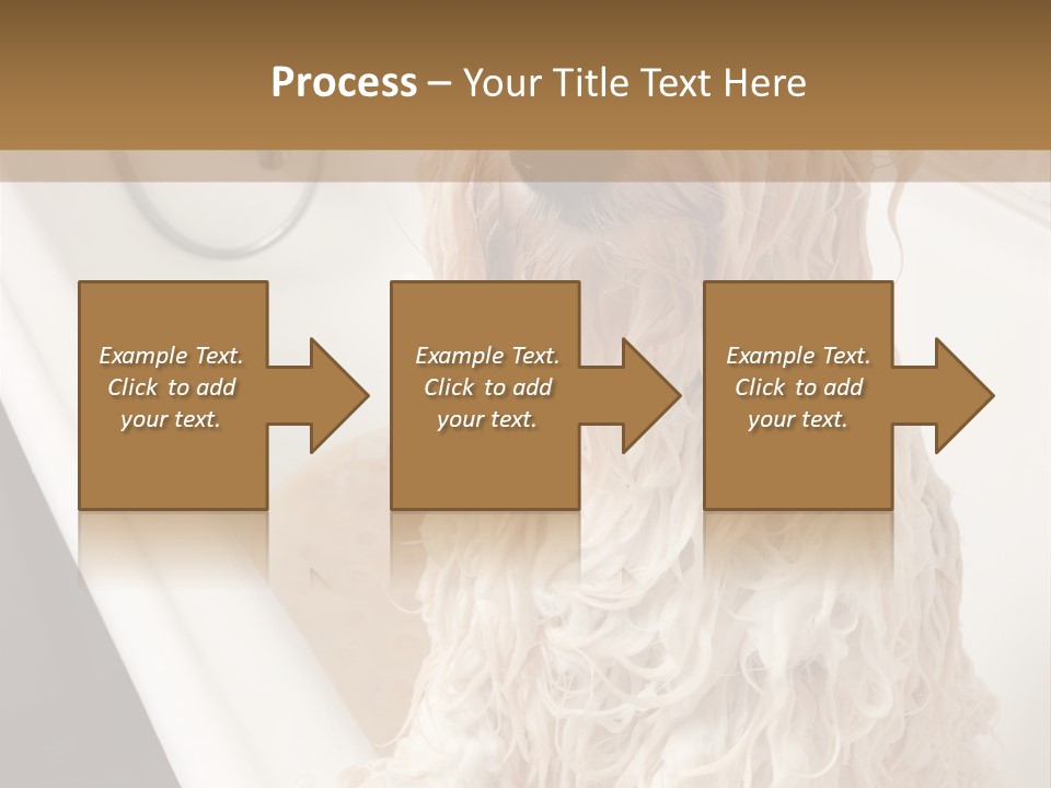 Sunrise Woman White PowerPoint Template