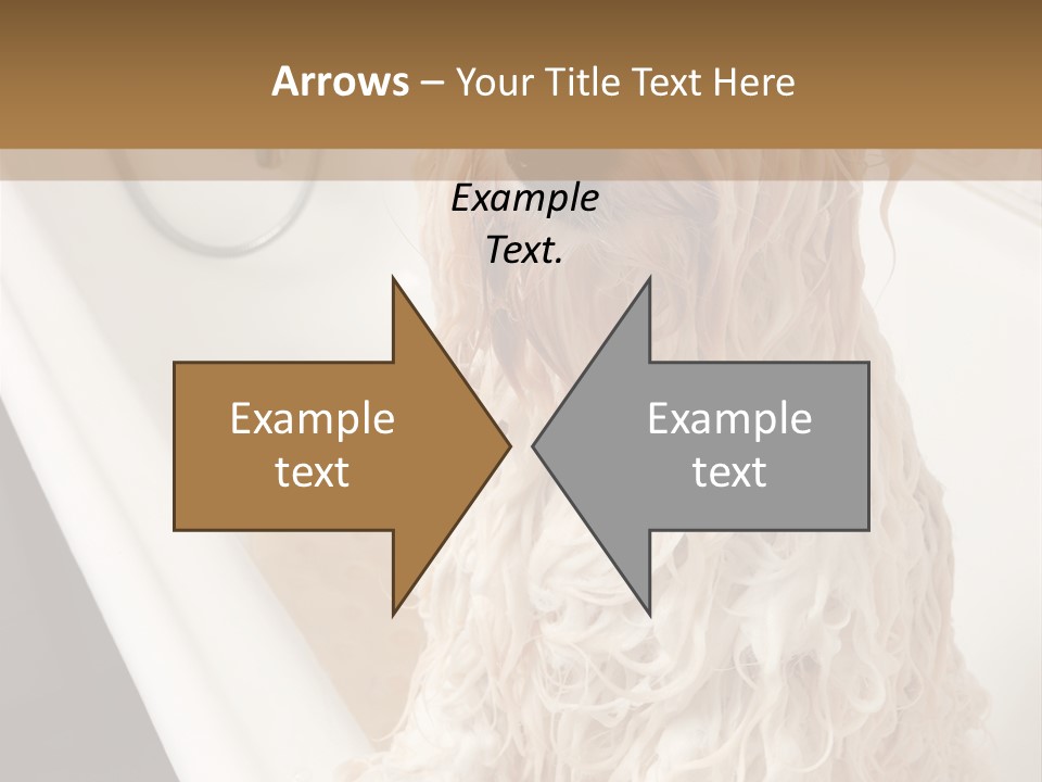 Sunrise Woman White PowerPoint Template