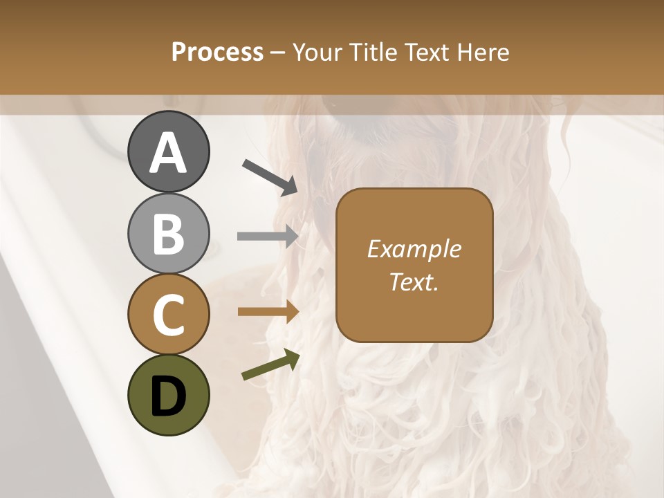 Sunrise Woman White PowerPoint Template