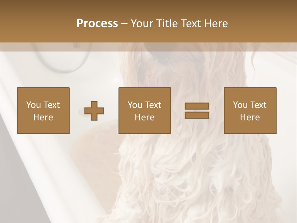 Sunrise Woman White PowerPoint Template