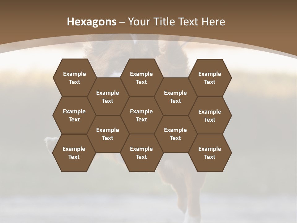 Sea White Sand PowerPoint Template