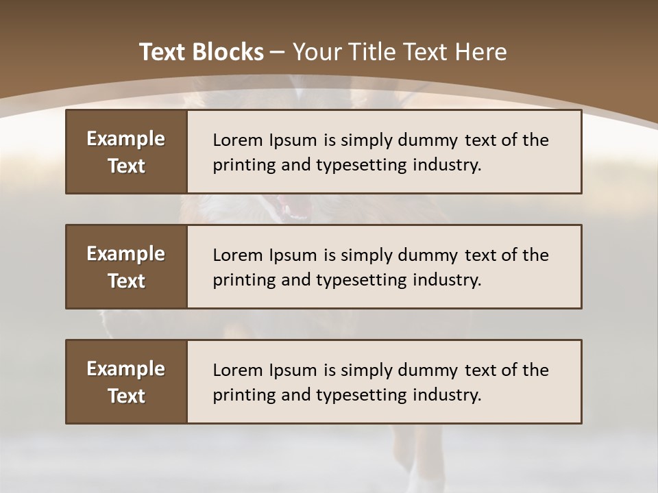 Sea White Sand PowerPoint Template
