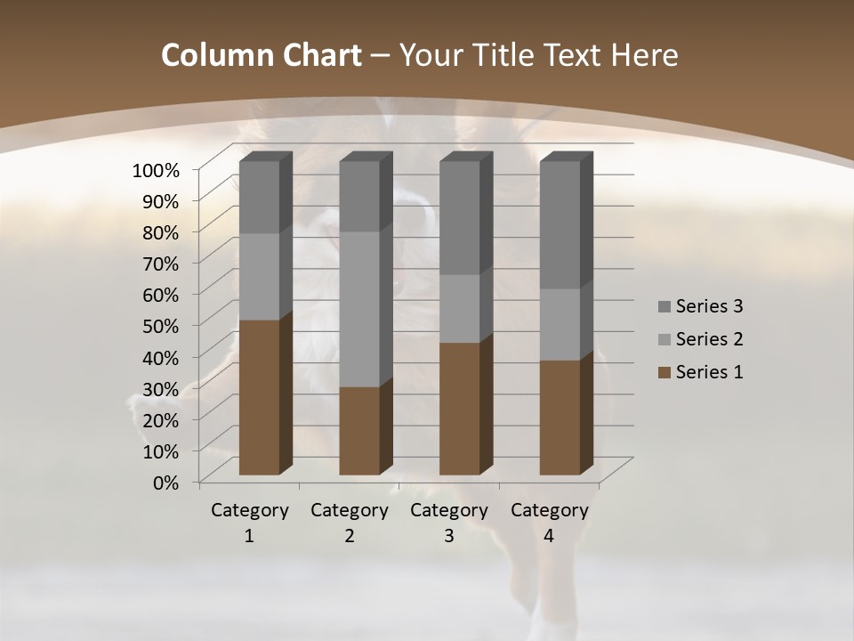 Sea White Sand PowerPoint Template