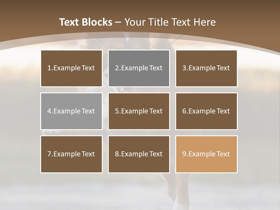 Sea White Sand PowerPoint Template