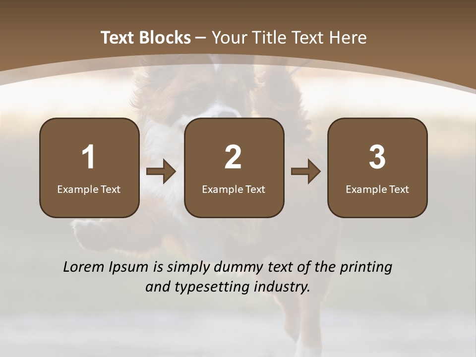 Sea White Sand PowerPoint Template