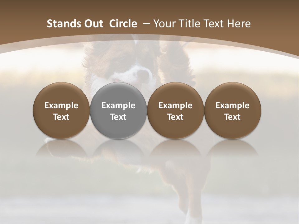 Sea White Sand PowerPoint Template