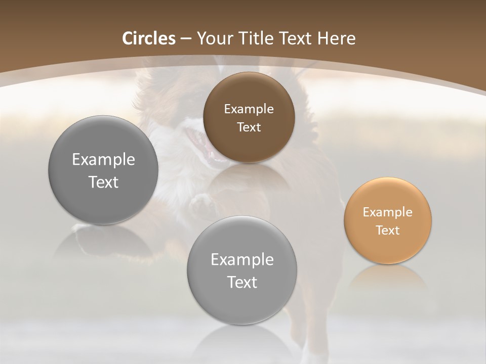 Sea White Sand PowerPoint Template