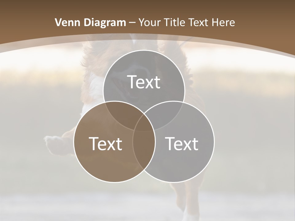 Sea White Sand PowerPoint Template