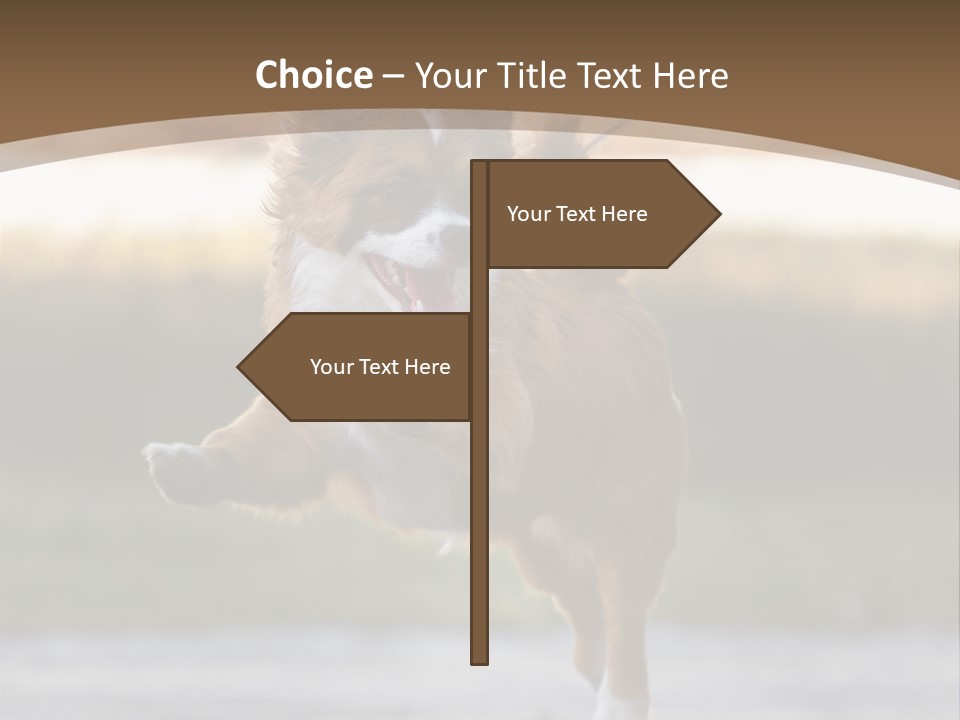 Sea White Sand PowerPoint Template