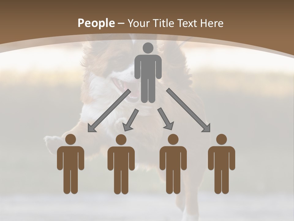 Sea White Sand PowerPoint Template