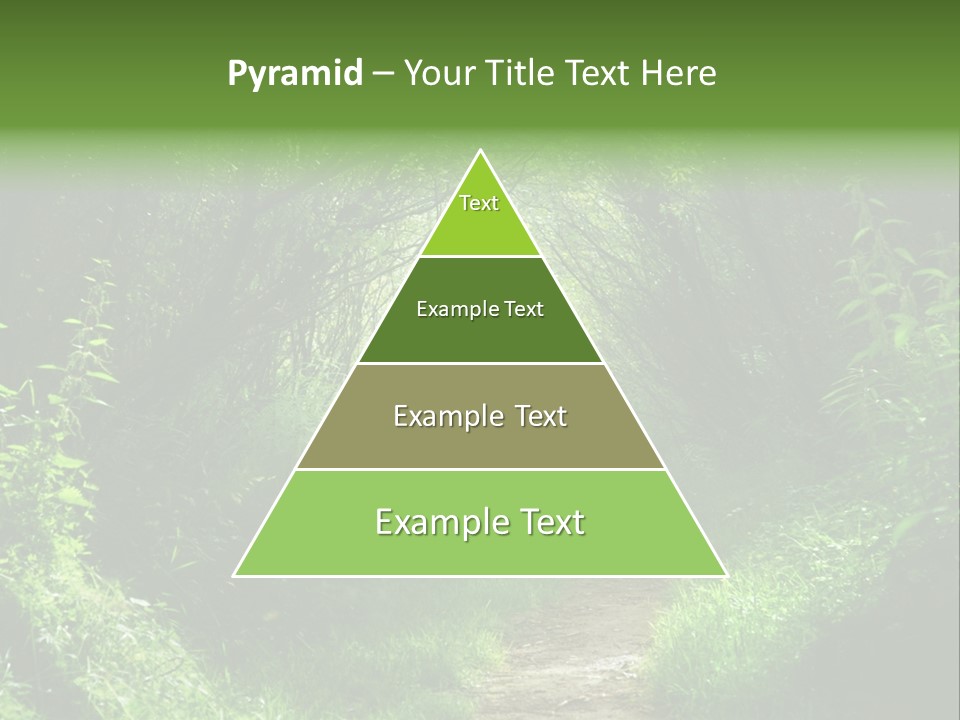 Lifestyle Sea Ocean PowerPoint Template