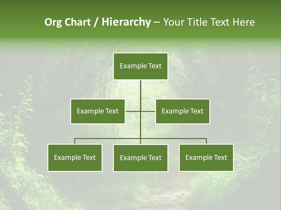 Lifestyle Sea Ocean PowerPoint Template