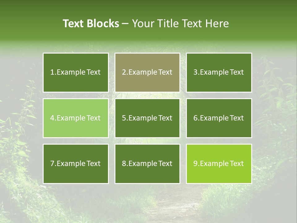 Lifestyle Sea Ocean PowerPoint Template