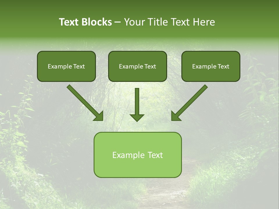 Lifestyle Sea Ocean PowerPoint Template